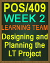 POS/409 Designing and Planning the Learning Team Project